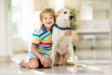 child & pet safe