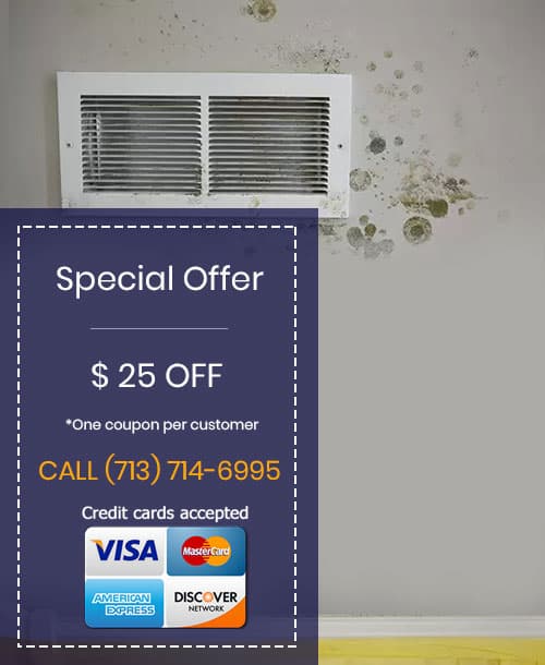 mold removal houston offer